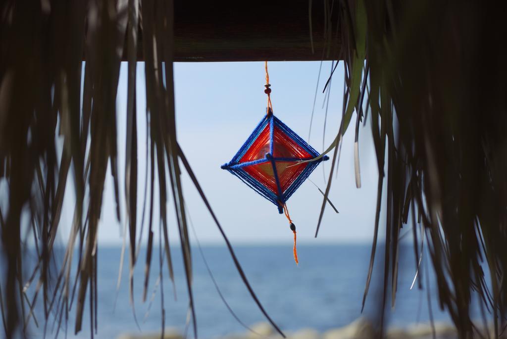 ホテル Punta Encanto Posada Boutique ミラマール エクステリア 写真